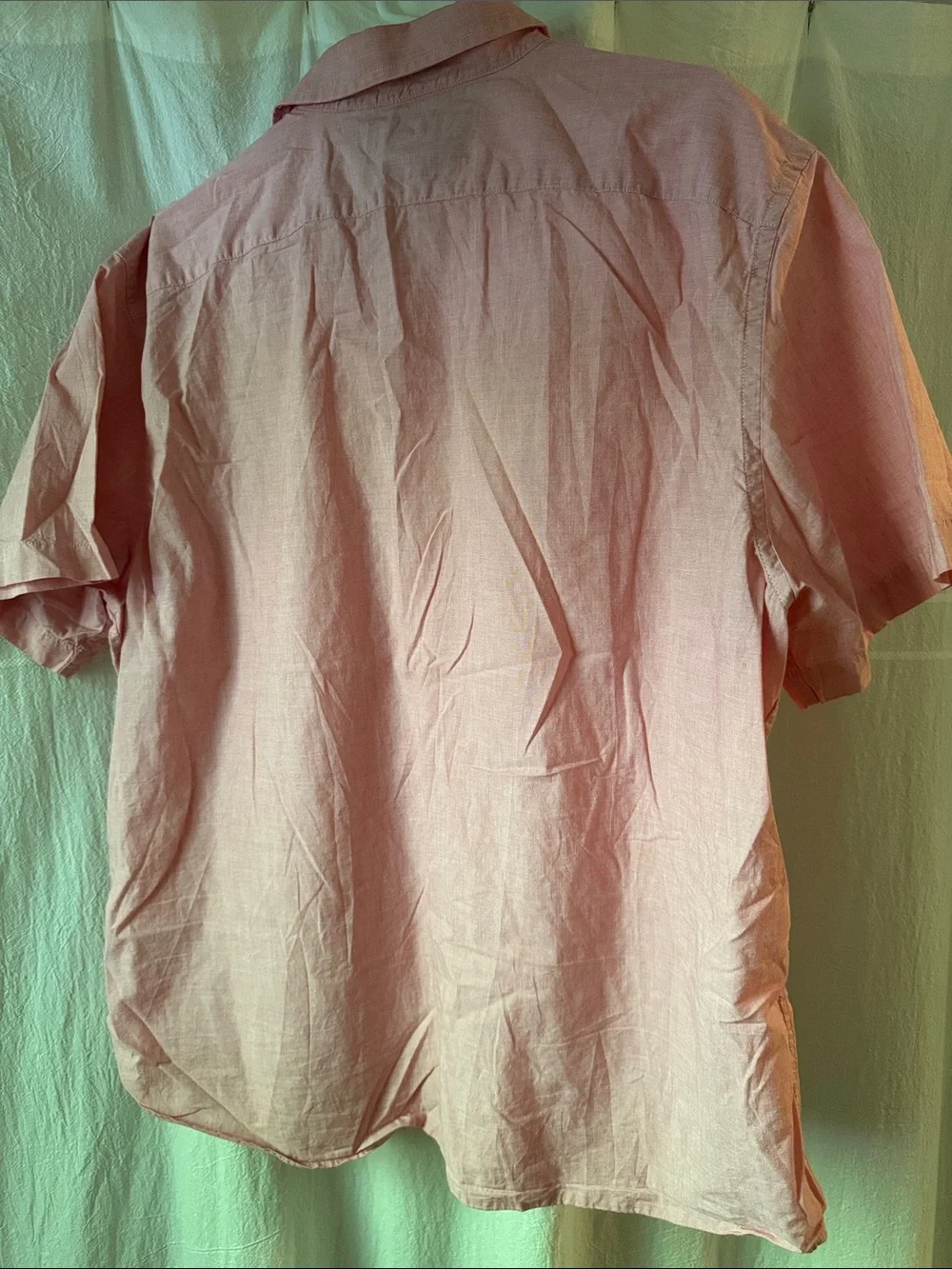 Banana Republic Pink Short-Sleeve Button-Down Shirt